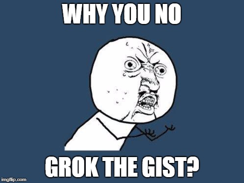 Why you no | WHY YOU NO; GROK THE GIST? | image tagged in why you no | made w/ Imgflip meme maker