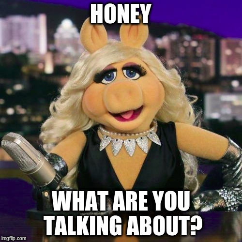 HONEY WHAT ARE YOU TALKING ABOUT? | made w/ Imgflip meme maker