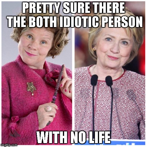 Delores Umbridge Harry Potter | PRETTY SURE THERE THE BOTH IDIOTIC PERSON; WITH NO LIFE | image tagged in delores umbridge harry potter | made w/ Imgflip meme maker