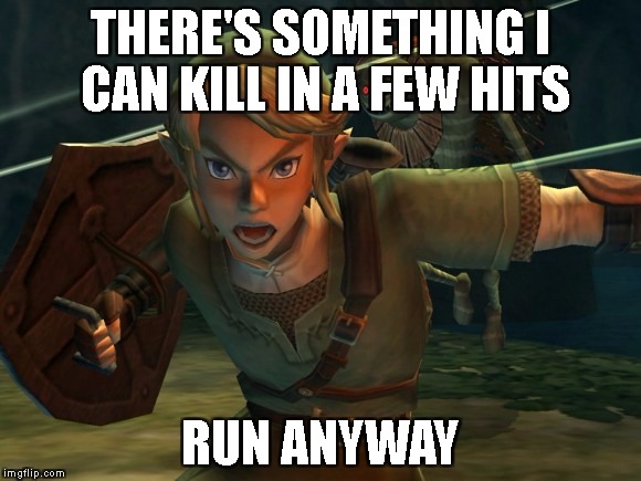 Link Legend of Zelda Yelling | THERE'S SOMETHING I CAN KILL IN A FEW HITS; RUN ANYWAY | image tagged in link legend of zelda yelling | made w/ Imgflip meme maker