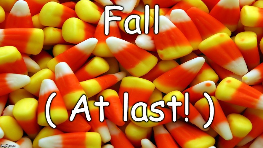 Thirty-nine days till Halloween, ninety-five days 'til Christmas.  (Lest you forget...) | Fall; ( At last! ) | image tagged in sweets for the sweet,fall,holloween,psa | made w/ Imgflip meme maker