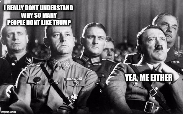 I dont understand | I REALLY DONT UNDERSTAND WHY SO MANY PEOPLE DONT LIKE TRUMP; YEA, ME EITHER | image tagged in right wing,donald trump | made w/ Imgflip meme maker