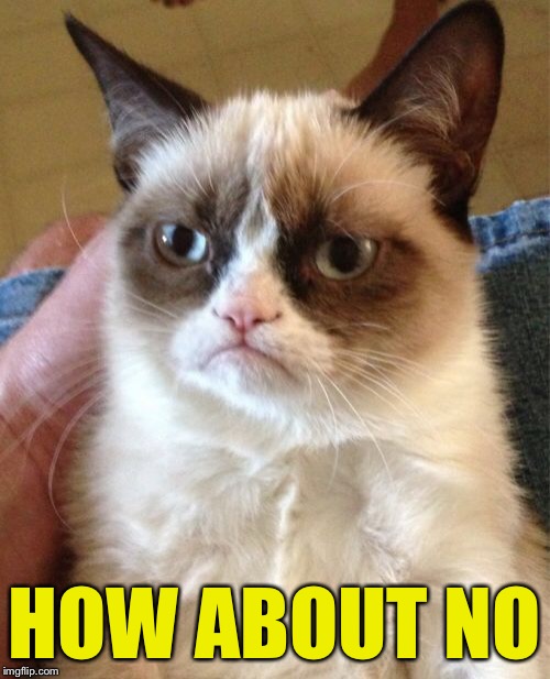 Grumpy Cat Meme | HOW ABOUT NO | image tagged in memes,grumpy cat | made w/ Imgflip meme maker