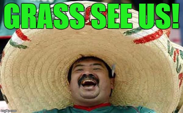 Happy Mexican | GRASS SEE US! | image tagged in happy mexican | made w/ Imgflip meme maker