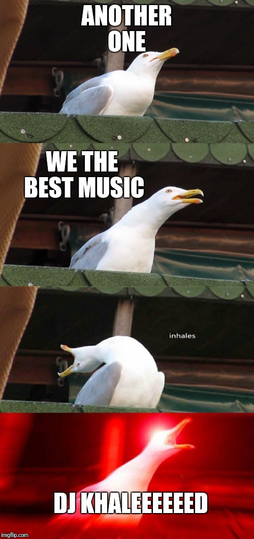 inhales seagull | ANOTHER ONE; WE THE BEST MUSIC; DJ KHALEEEEEED | image tagged in inhales seagull | made w/ Imgflip meme maker