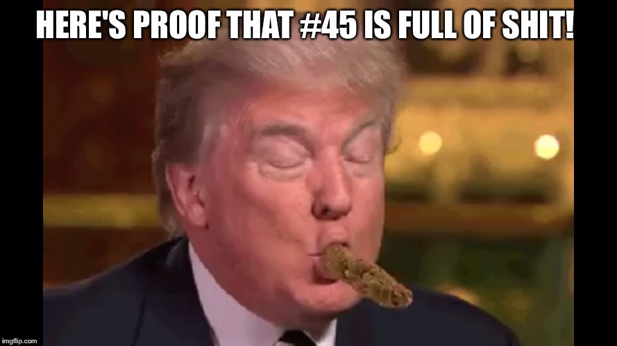 Donald Trump Is Full Of Shit! | HERE'S PROOF THAT #45 IS FULL OF SHIT! | image tagged in donald trump,full of shit | made w/ Imgflip meme maker