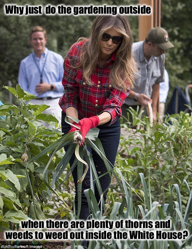 In Trump's Garden  | Why just  do the gardening outside; when there are plenty of thorns and weeds to weed out inside the White House? | image tagged in melania trump,donald trump,resist,gardening,white house | made w/ Imgflip meme maker