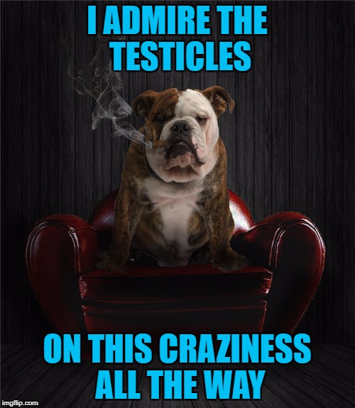 I ADMIRE THE TESTICLES ON THIS CRAZINESS ALL THE WAY | made w/ Imgflip meme maker