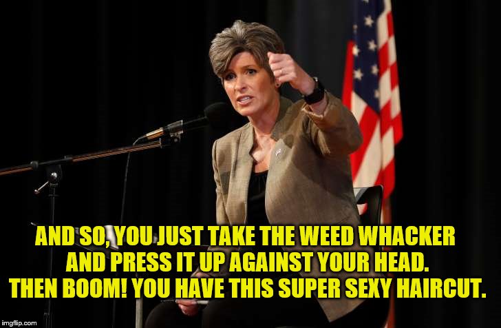 Joni's Beauty Tips. | AND SO, YOU JUST TAKE THE WEED WHACKER AND PRESS IT UP AGAINST YOUR HEAD. THEN BOOM! YOU HAVE THIS SUPER SEXY HAIRCUT. | image tagged in joni ernst,hair,weed whacker,politics,republicans,funny | made w/ Imgflip meme maker
