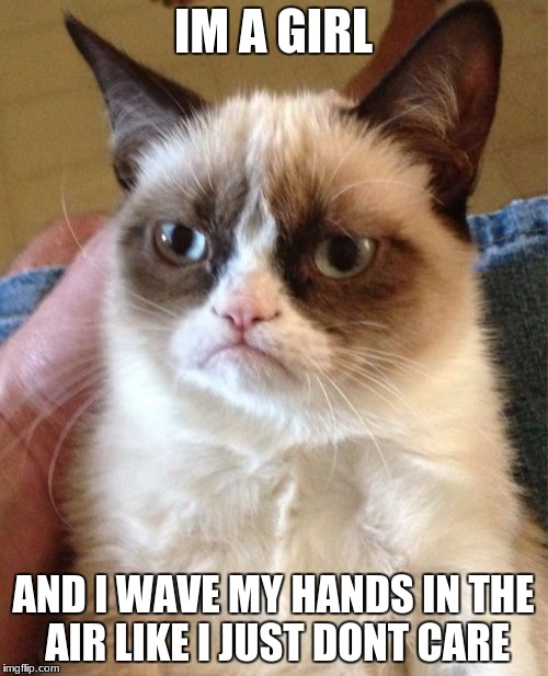 Grumpy Cat Meme | IM A GIRL AND I WAVE MY HANDS IN THE AIR LIKE I JUST DONT CARE | image tagged in memes,grumpy cat | made w/ Imgflip meme maker