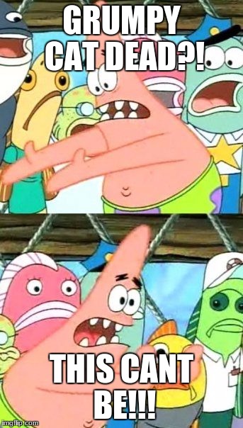 Put It Somewhere Else Patrick Meme | GRUMPY CAT DEAD?! THIS CANT BE!!! | image tagged in memes,put it somewhere else patrick | made w/ Imgflip meme maker