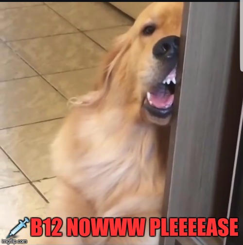 💉B12 NOWWW PLEEEEASE | image tagged in buggered | made w/ Imgflip meme maker