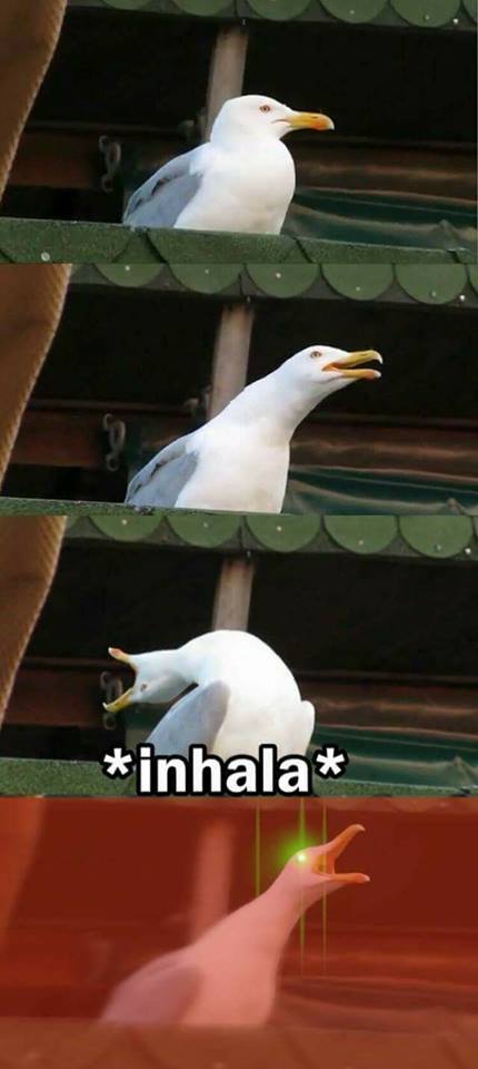 Meme de la paloma que grita Blank Meme Template