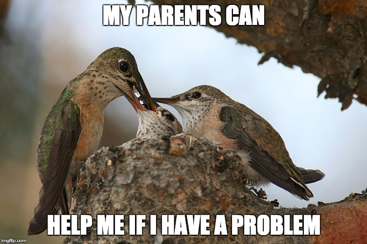   | MY PARENTS CAN; HELP ME IF I HAVE A PROBLEM | image tagged in parents,parenting,problem,help | made w/ Imgflip meme maker
