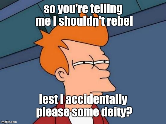 Futurama Fry Meme | so you're telling me I shouldn't rebel lest I accidentally please some deity? | image tagged in memes,futurama fry | made w/ Imgflip meme maker