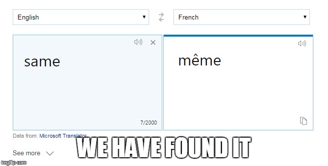 The French are the greatest | WE HAVE FOUND IT | image tagged in french,memes,funny,lanuages,meme | made w/ Imgflip meme maker