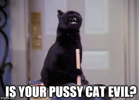 Salem making s'mores | IS YOUR PUSSY CAT EVIL? | image tagged in salem saberhagen,cauldron,s'mores,sleeping potion | made w/ Imgflip meme maker