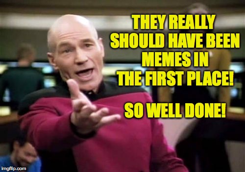 Picard Wtf Meme | THEY REALLY SHOULD HAVE BEEN MEMES IN THE FIRST PLACE! SO WELL DONE! | image tagged in memes,picard wtf | made w/ Imgflip meme maker