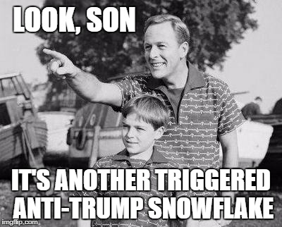 LOOK, SON IT'S ANOTHER TRIGGERED ANTI-TRUMP SNOWFLAKE | made w/ Imgflip meme maker