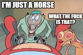 I'M JUST A HORSE WHAT THE F**K IS THAT? | made w/ Imgflip meme maker