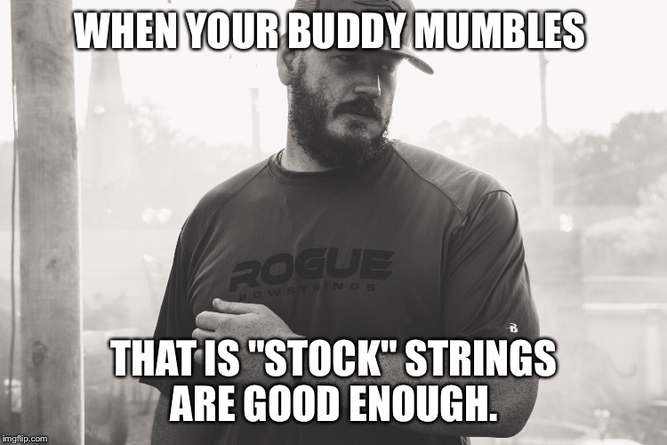 WHEN YOUR BUDDY MUMBLES; THAT IS "STOCK" STRINGS ARE GOOD ENOUGH. | image tagged in rogue | made w/ Imgflip meme maker