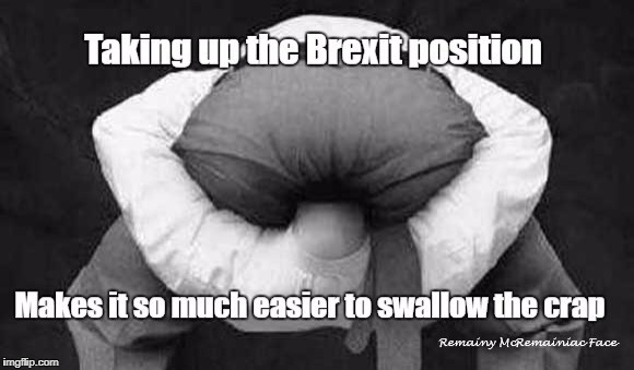 The Brexit position | image tagged in brexit,idiots,voters | made w/ Imgflip meme maker