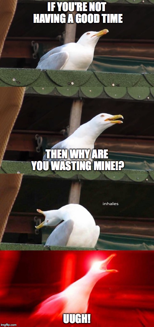 inhaling seagull 4 red | IF YOU'RE NOT HAVING A GOOD TIME; THEN WHY ARE YOU WASTING MINE!? UUGH! | image tagged in inhaling seagull 4 red | made w/ Imgflip meme maker