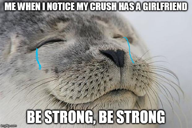 Satisfied Seal Meme | ME WHEN I NOTICE MY CRUSH HAS A GIRLFRIEND; BE STRONG, BE STRONG | image tagged in memes,satisfied seal | made w/ Imgflip meme maker