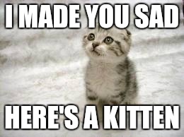 Sad Cat | I MADE YOU SAD; HERE'S A KITTEN | image tagged in memes,sad cat | made w/ Imgflip meme maker