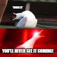 *INHALES*; YOU'LL NEVER SEE IT COMING! | image tagged in blank inhaling seagull | made w/ Imgflip meme maker