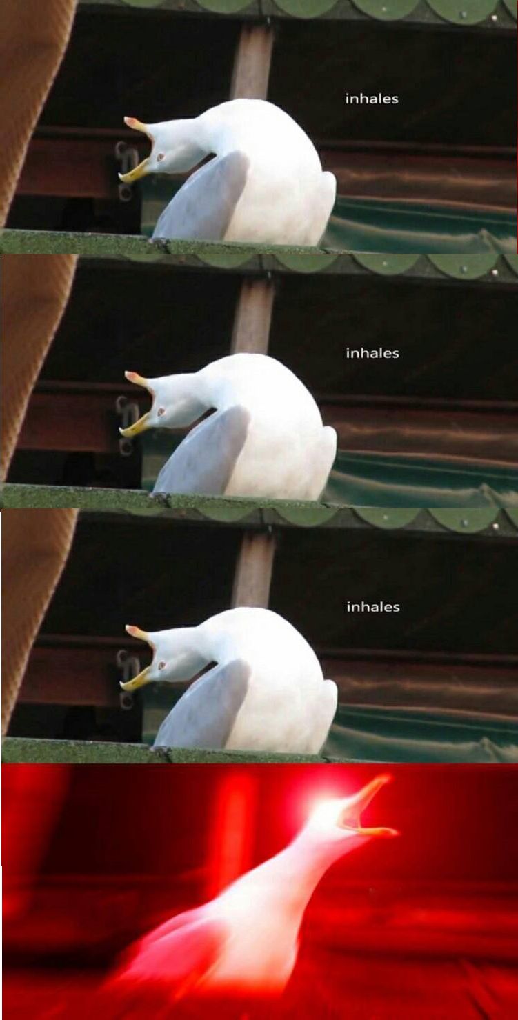 Much inhaling seagull Blank Meme Template