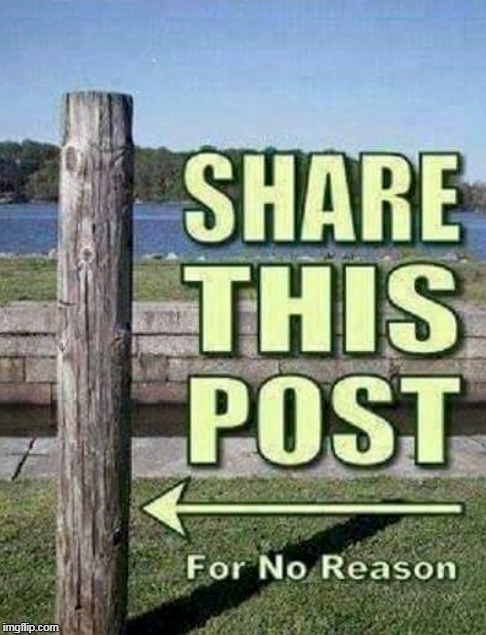 share this post for nothing 
 | image tagged in nothing,share,no reason | made w/ Imgflip meme maker