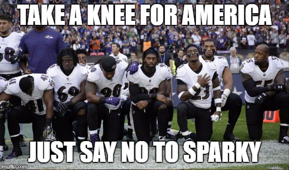 London Wembley Stadium 9.24.17 | TAKE A KNEE FOR AMERICA; JUST SAY NO TO SPARKY | image tagged in real patriots | made w/ Imgflip meme maker