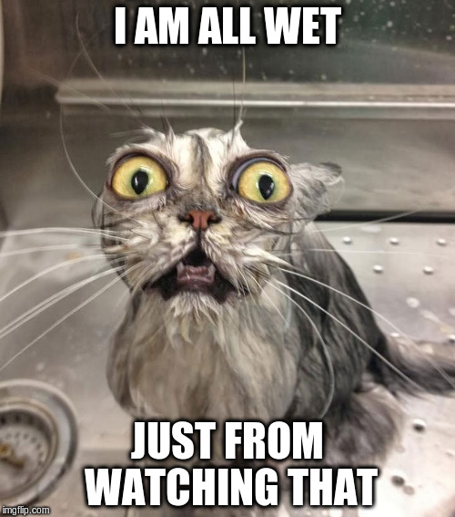 I AM ALL WET JUST FROM WATCHING THAT | made w/ Imgflip meme maker