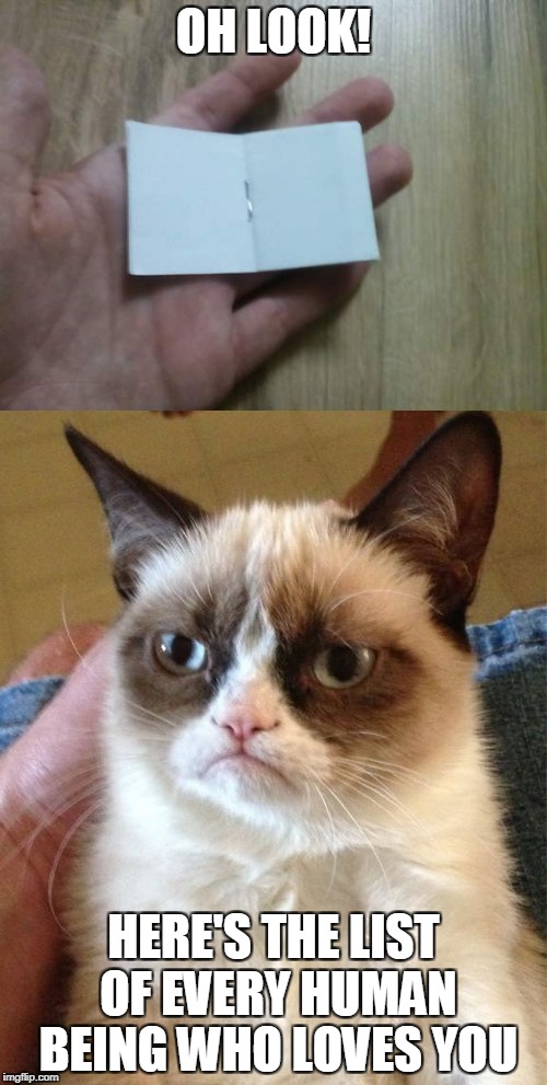 Damn,Grumpy Cat!That's cruel | OH LOOK! HERE'S THE LIST OF EVERY HUMAN BEING WHO LOVES YOU | image tagged in a tiny blank book,grumpy cat,memes,funny,dank,no love | made w/ Imgflip meme maker