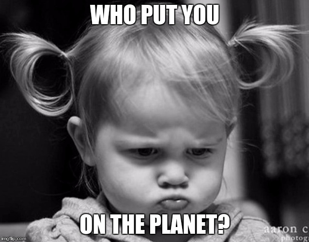 WHO PUT YOU; ON THE PLANET? | image tagged in funny face,funny face kid,memes,funny memes,so true memes,dank memes | made w/ Imgflip meme maker