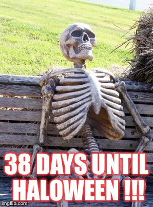 Waiting Skeleton Meme | 38 DAYS UNTIL HALOWEEN !!! | image tagged in memes,waiting skeleton | made w/ Imgflip meme maker