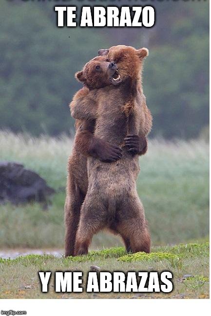 hugging bears | TE ABRAZO; Y ME ABRAZAS | image tagged in hugging bears | made w/ Imgflip meme maker