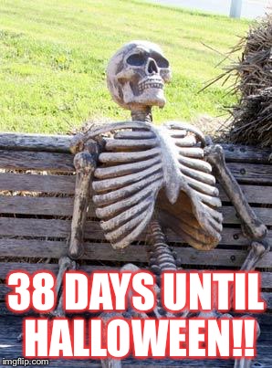 Waiting Skeleton Meme | 38 DAYS UNTIL HALLOWEEN!! | image tagged in memes,waiting skeleton | made w/ Imgflip meme maker
