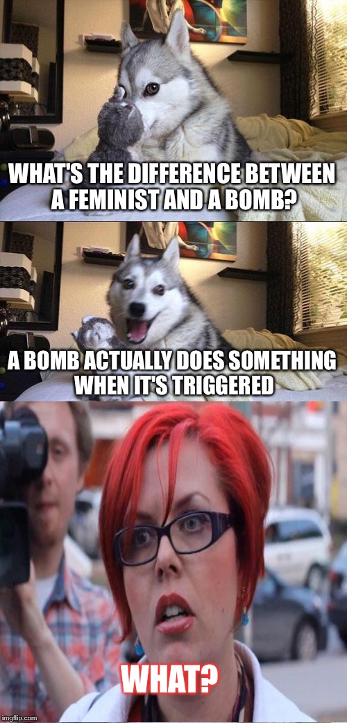 Feminist puns | WHAT'S THE DIFFERENCE BETWEEN A FEMINIST AND A BOMB? A BOMB ACTUALLY DOES SOMETHING WHEN IT'S TRIGGERED; WHAT? | image tagged in memes,bad pun dog,feminist | made w/ Imgflip meme maker