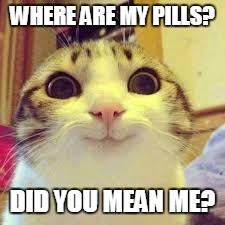 potatos and catshi crazy |  WHERE ARE MY PILLS? DID YOU MEAN ME? | image tagged in potatos and catshi crazy | made w/ Imgflip meme maker