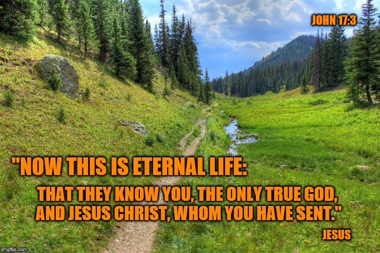 One True God, One Path of Salvation...   Liberal brains now exploding in anger. | JOHN 17:3; "NOW THIS IS ETERNAL LIFE:; THAT THEY KNOW YOU, THE ONLY TRUE GOD, AND JESUS CHRIST, WHOM YOU HAVE SENT."; JESUS | image tagged in christianity,jesus,memes | made w/ Imgflip meme maker