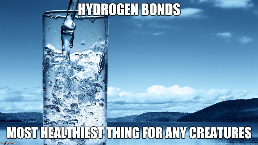 glass of water | HYDROGEN BONDS; MOST HEALTHIEST THING FOR ANY CREATURES | image tagged in glass of water | made w/ Imgflip meme maker