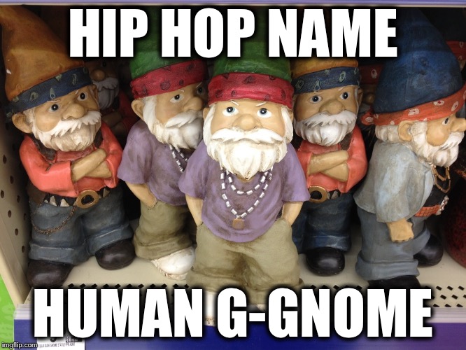 Yeah Boy...! | HIP HOP NAME; HUMAN G-GNOME | image tagged in gnome,hip hop,memes,funny | made w/ Imgflip meme maker