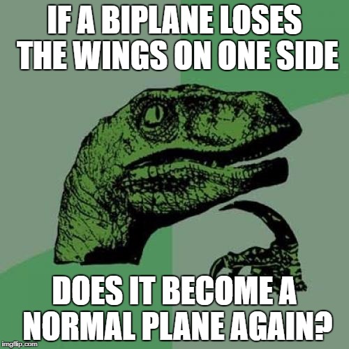 Philosoraptor | IF A BIPLANE LOSES THE WINGS ON ONE SIDE; DOES IT BECOME A NORMAL PLANE AGAIN? | image tagged in memes,philosoraptor | made w/ Imgflip meme maker