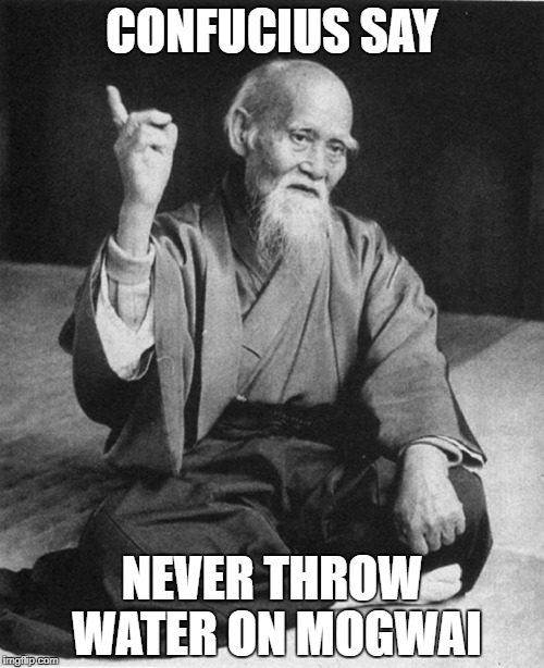 Confucius say | CONFUCIUS SAY; NEVER THROW WATER ON MOGWAI | image tagged in confucius say | made w/ Imgflip meme maker
