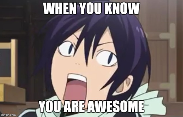 WHEN YOU KNOW; YOU ARE AWESOME | image tagged in im awesome | made w/ Imgflip meme maker