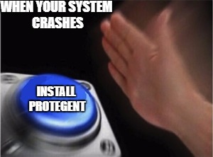 Blank Nut Button | WHEN YOUR SYSTEM CRASHES; INSTALL PROTEGENT | image tagged in blank nut button | made w/ Imgflip meme maker