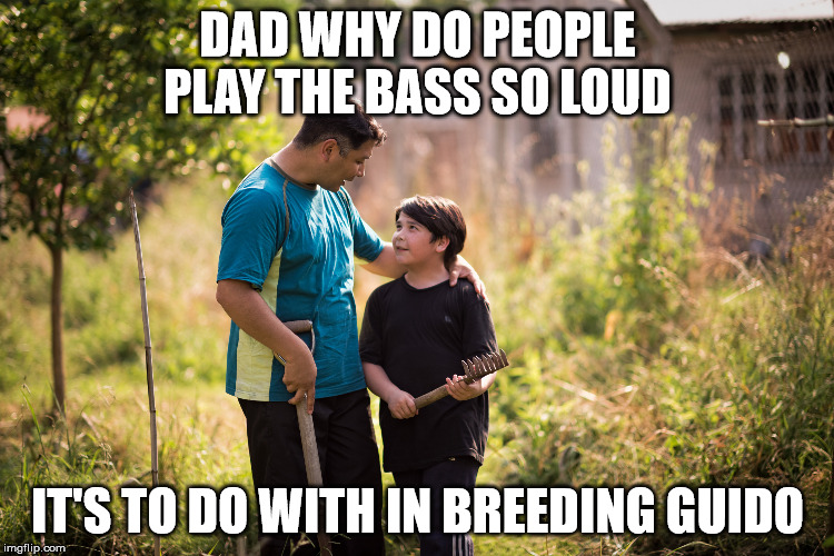 loud car bass | DAD WHY DO PEOPLE PLAY THE BASS SO LOUD; IT'S TO DO WITH IN BREEDING GUIDO | image tagged in bass,inbred,noise | made w/ Imgflip meme maker