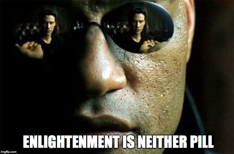 False Duality  | ENLIGHTENMENT IS NEITHER PILL | image tagged in matrix morpheus,red pill blue pill,republicans,democrats,enlightenment | made w/ Imgflip meme maker